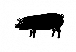 ЕЛАЙФ - добавка на основе натуральных антиоксидантов для улучшения качества мяса и значительного увеличения продуктивности свиней.